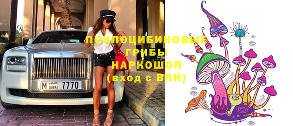 spice Алексеевка