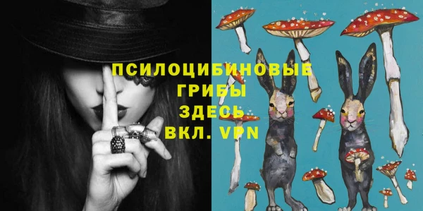тгк Алзамай