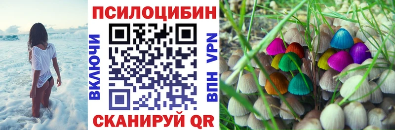 Галлюциногенные грибы Magic Shrooms  это формула  Курган 